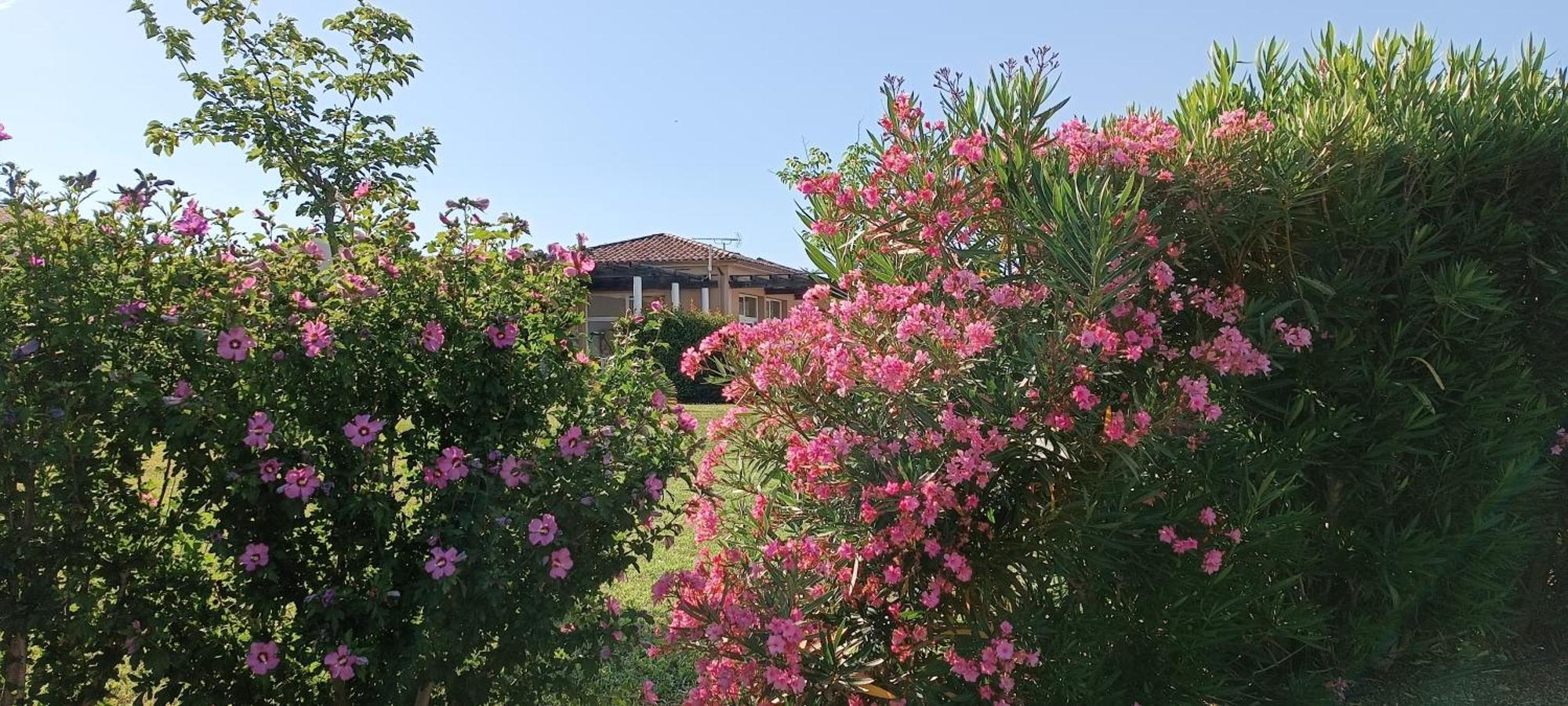 Сasa de vacaciones Les Demeures Du Ventoux - Vacanceole Aubignan